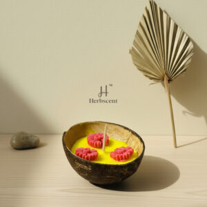 Herbscent Coconut Candle Collection
